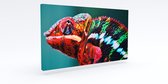 Akoestisch  schilderij Kameleon - 124x64x7 cm rechthoekig | Geluidsisolatie | Akoestische panelen | Isolatie paneel | Geluidsabsorptie | Akoestiekwinkel