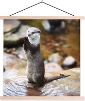 Porte-affiche avec affiche - Affiche scolaire - La loutre se tient debout - 60x60 cm - Lattes vierges