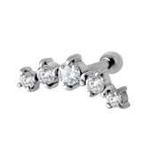 Chirurgisch Staal Oor Piercing  - Premium Zirkonia