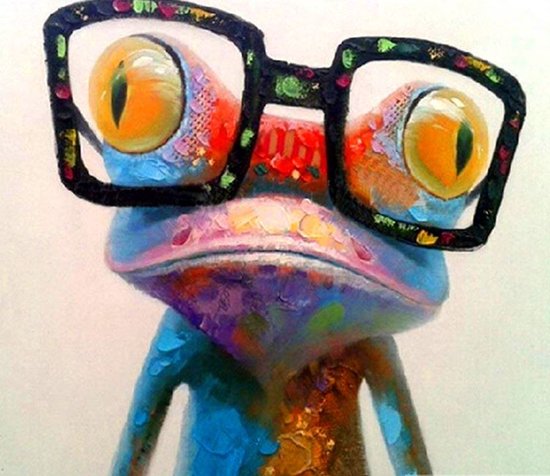 Peinture de diamants Cool Frog - 40x30cm - Set complet - Tools inclus - Stipco