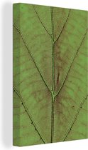 Canvas Schilderij Bladeren - Natuur - Planten - 40x60 cm - Wanddecoratie
