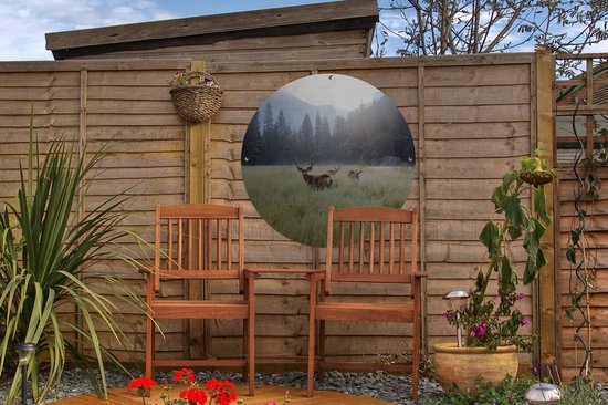 Garden Circle Forest - Cerf - Brouillard - 60x60 cm - Affiche de Jardin Ronde - Extérieur
