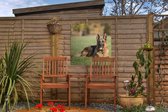 Tuinposters Duitse herdershond ligt op het gras - 50x50 cm - Tuindoek - Buitenposter