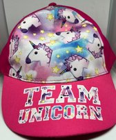 Team Unicorn pet