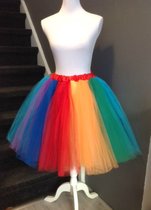 Tutu - Regenboog rok - 55 cm