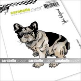 Carabelle Studio Cling stamp A7 I've got a dog