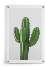 Walljar - Cactus - Muurdecoratie - Plexiglas schilderij