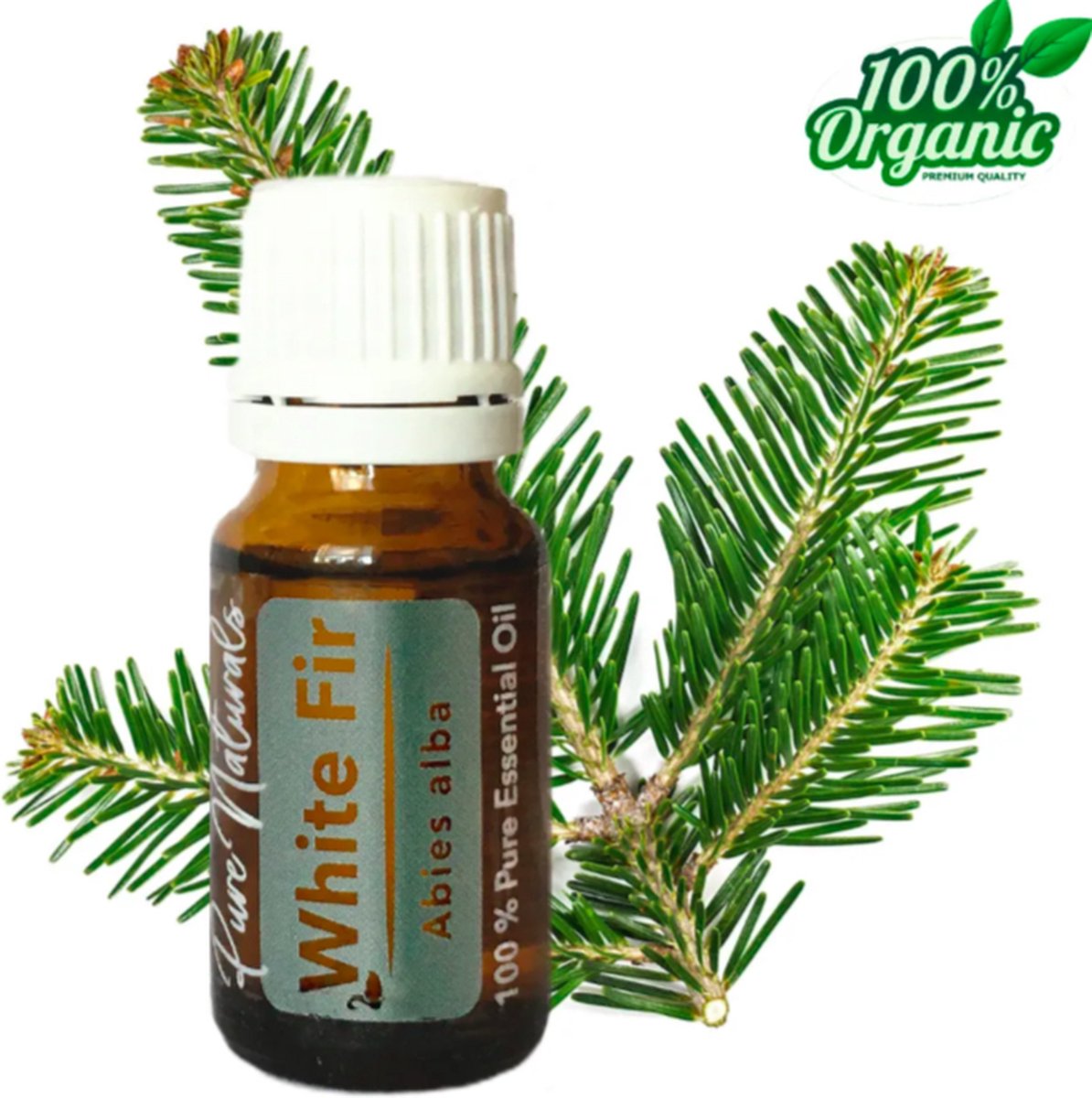 Goedkoopste Zilverspar etherische Olie 10 ml | White Fir Oil | 100 PUUR | Bio | Essentiële olie Aromatherapie | Olie diffuser | Pure Naturals