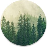 Wandcirkel Mistige Bomen | ⌀ 30 cm | Wanddecoratie | Muurcirkel Binnen | Forex | Ronde Schilderijen