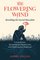 Paperback