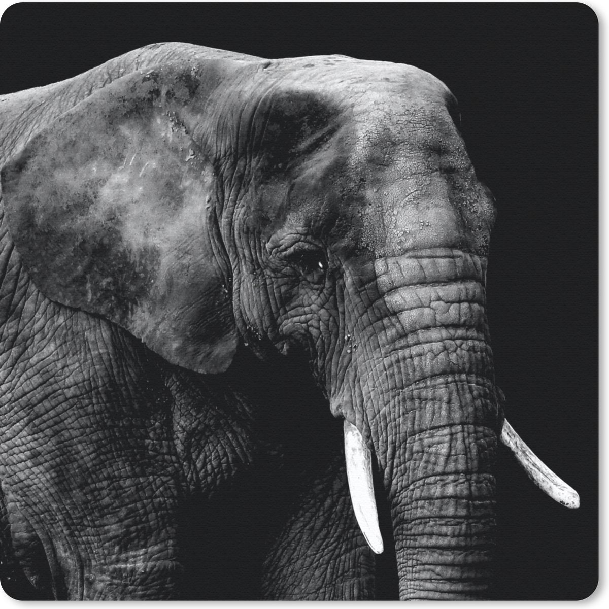 Muismat 20x20 cm - Mousepad Olifant - Dieren - Zwart - Wit - Muismatten