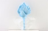 Gedroogd Palm Speer Donker Licht Blauw - Droogbloemen - 10 stuks - Decoratieve takken - GRATIS verzending