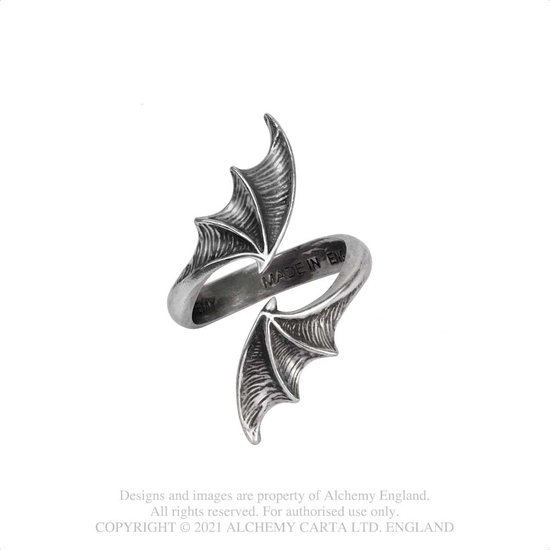 Alchimie - Ring Une Nuit avec Goethe - Couleur argent