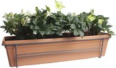 Helleborus (kerstroos) in ELHO ® Green Basics balkonbak (Mild Terra) met metalen balkonrek ↨ 20cm - planten - binnenplanten - buitenplanten - tuinplanten - potplanten - hangplanten - plantenb
