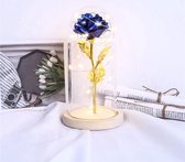 Roses of love - rurple roos in glazen stolp met LED - Beauty and the Beast roos - Valentijnsdag, Trouw & Liefde Cadeau | Cadeau voor haar | Moederdag cadeautje | Kerst cadeau | huwelijkscadea