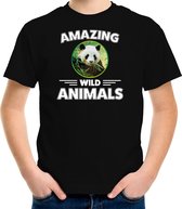 T-shirt panda - zwart - kinderen - amazing wild animals - cadeau shirt panda / pandaberen liefhebber M (134-140)
