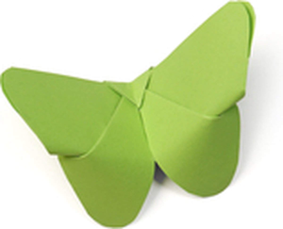 Origami papier 100 blad 20x20cm 10 tinten — afbeelding 5