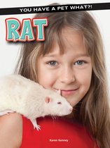 You Have a Pet What?! - Rat