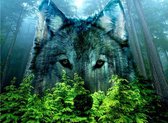 Diamond Painting Volwassenen - 60 x 80 cm – Wolf - Transparant - Full Painting - Kado - Moederdag - Kerst - Cadeau - Verjaardag - Vaderdag - Vierkante Steentjes - Hobby en creatief