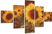 Schilderij - Zonnebloem close-up, 5luik, premium print