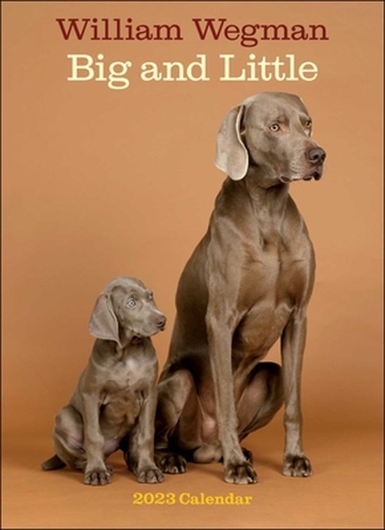 william-wegman-big-and-little-2023-wall-calendar-william-wegman