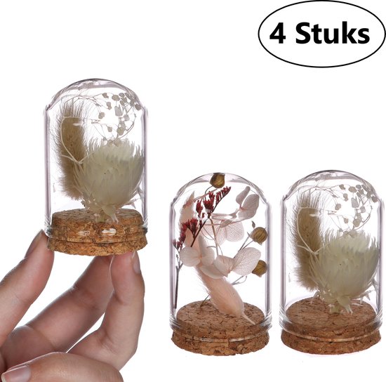 Comforder Droogbloemen Boeket in Mini vaas - Set van 4 Gedroogde Bloemen met Glas