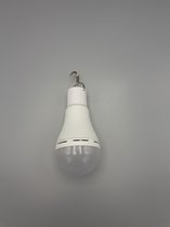 StartEcoLiving - Solar Campinglamp - LED Lamp bulb - Zonne-energie - Wit