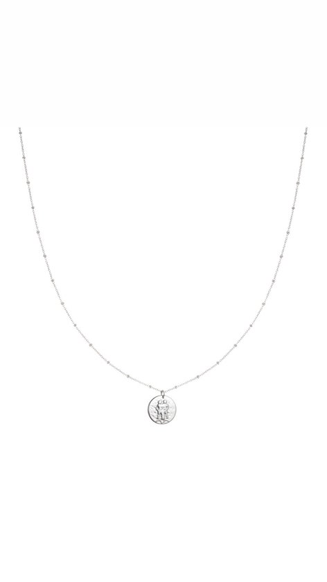 Ketting Dames Zilver,Fashion Charm 12 Zodiac Hanger Ketting