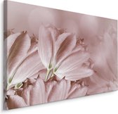 Schilderij - Pastel roze tulpen, premium print