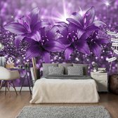 Fotobehang - Masterpiece of Purple.