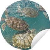 Tuincirkel Schildpadden die samen in het helderblauwe water bij Grand Cayman zwemmen - 90x90 cm - Ronde Tuinposter - Buiten