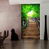 Fotobehang voor deuren - Photo wallpaper – Stairs from nature I.