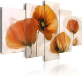 Schilderij - Artistic poppies - 5 pieces.