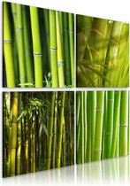 Schilderij - Bamboes.