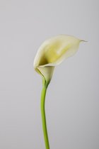 Kunstbloem - Callalelie - topkwaliteit decoratie - 2 stuks - zijden bloem - Groen - 48 cm hoog