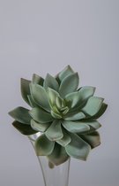 Kunstplant - rod lotus - topkwaliteit decoratie - 2 stuks - zijden vetplant - Grijs - 10 cm hoog