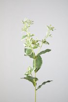 Kunsttak - Euphorbia - topkwaliteit decoratie - 2 stuks - zijden bladeren - Wit - 69 cm hoog