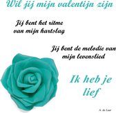 Valentijn DUO Pack Aqua 2x tegel met spreuk | liefde | Valentijn | 2 x Spreuktegel |  Verliefd en Ritme | Tegeltje tegeltje aan de wand