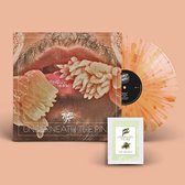 Toro Y Moi - Underneath The Pine (LP) (Anniversary Edition)