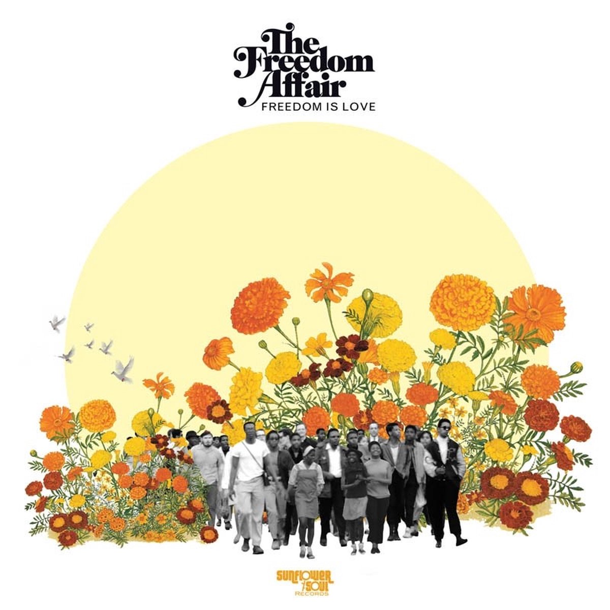 The Freedom Affair - Freedom Is Love (CD)