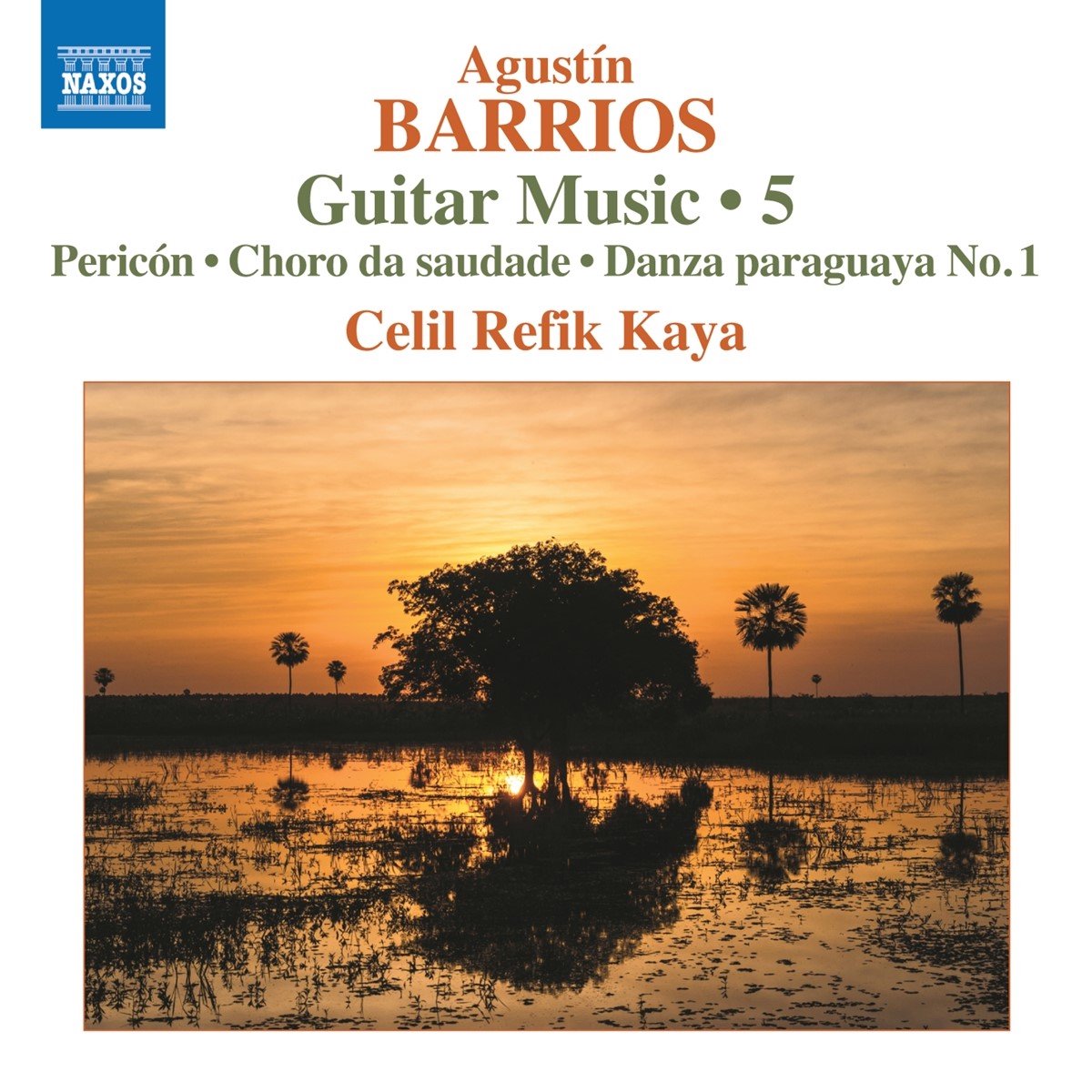 Celil Refik Kaya - Barrios Mangoré: Guitar Music, Vol. 5 (CD)