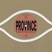 Bartees Strange & Ohmme & Eric Slick & Anjimile - Province (7" Vinyl Single)