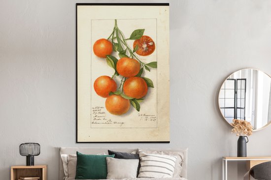 Tableau sur toile Calamondin citrus - tableau de Deborah Griscom Passmore - 120x180 cm - Décoration murale XXL