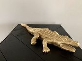 Krokodil goudkleur decoratie object
