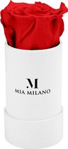 Mia Milano Infinity Rozen 3 jaar houdbaar I Roosendoos met echte rozen I Lang houdbare bloemen in doos I Geconserveerde rozen met geschenkverpakking I Handgemaakt in Duitsland