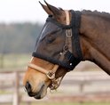 Bruin paard met zwarte vliegenkap met fleece rand en bruin gestreepte riemen.