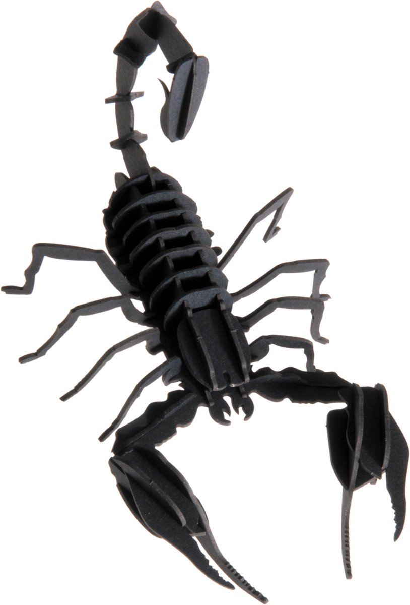 FRIDOLIN 3D Papier Model - Schorpioen.