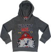 PAW Patrol trui Marshall grijs - Kindertrui Paw Patrol - Sweater kinderen - Hoodie kinderen - Trui voor jongens - Trui voor meisjes