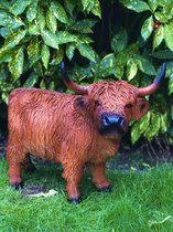 Highlander koe groot 46 cm - polyresin - polystone - hoogkwalitatieve kunststof - decoratiefiguur - interieur - accessoire - voor binnen - voor buiten - cadeau - geschenk - tuinfig