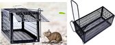 Diervriendelijke Muizenval - Zwart - Muizenklem - Mouse Trap - 100% pakkans - Voor binnen en buiten - Rattenval - Ongedierte verjager - Vangkooi
